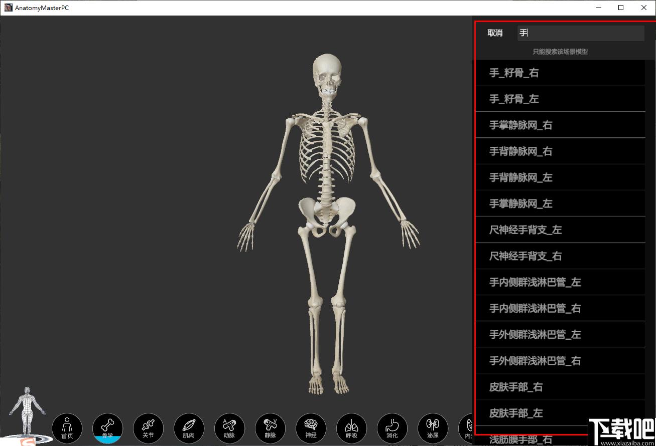 解剖大师下载,医学教育,人体解刨