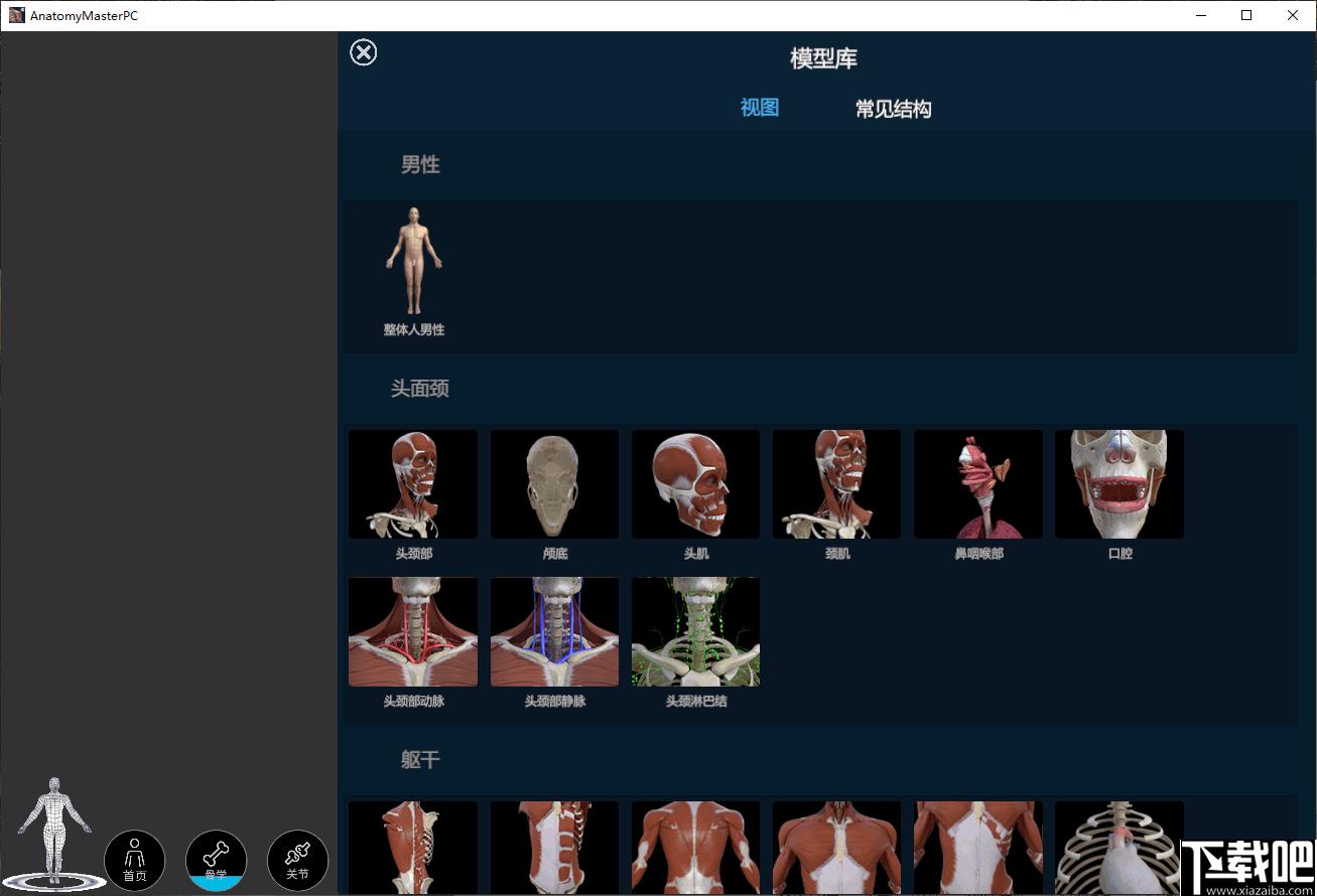 解剖大师下载,医学教育,人体解刨